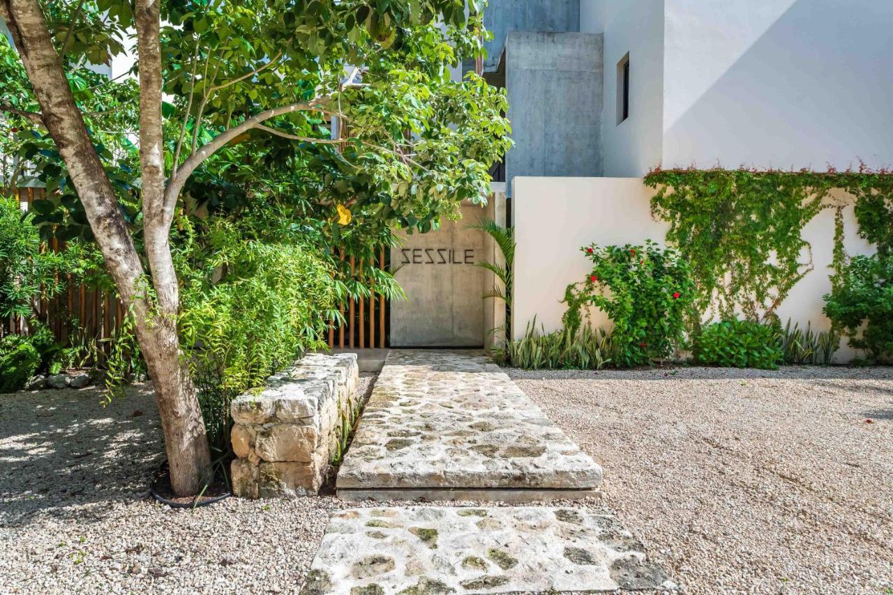 Luxury Apartament With Private Plunge Pool - Ground Floor Tulum Exterior foto
