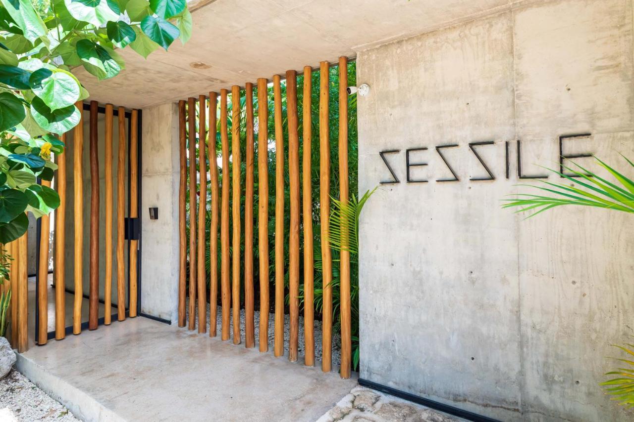 Luxury Apartament With Private Plunge Pool - Ground Floor Tulum Exterior foto